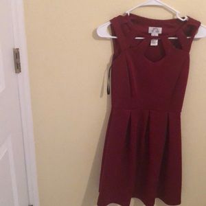 Burgundy/Berry dress.